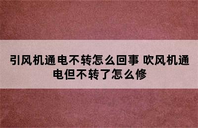 引风机通电不转怎么回事 吹风机通电但不转了怎么修